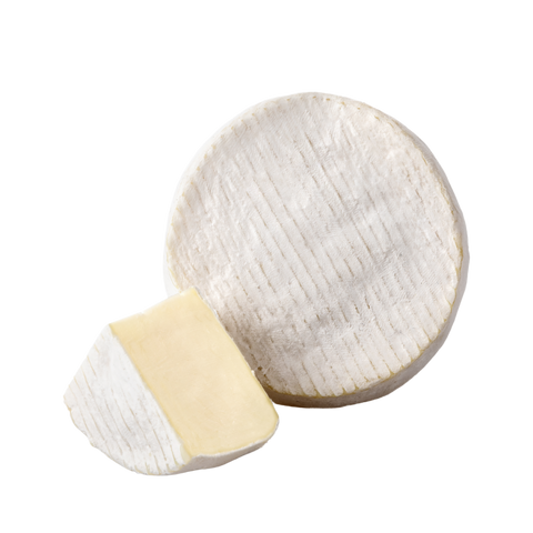 ROBIOLA OCCELLI MINI
