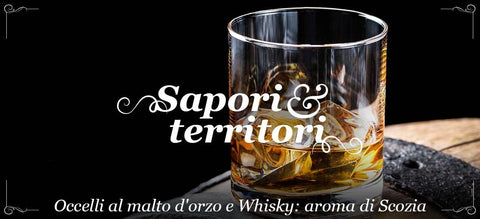 Sapori & Territori: Occelli al malto d'orzo e Whisky