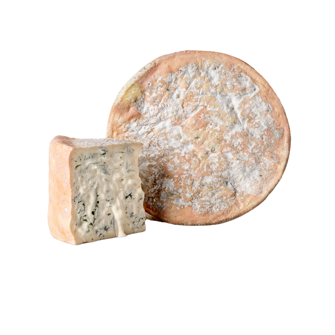 COW'S VERZIN – Beppino Occelli